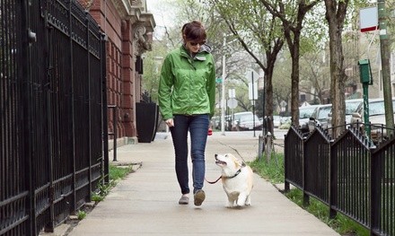 Pet-Sitting or Dog-WalkingServices from Snagglefoot Saint Louis (Up to 62% Off). Six Options Available.