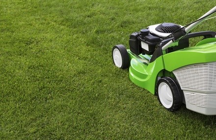 $41 for $75 voucher — slaytonlawncare