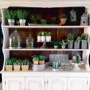 $15 For $30 Toward Home Furnishings