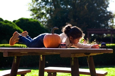 Up to 70% Off on Seasonal Photography at Life creation photography