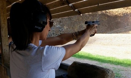 $82 for Basic Handgun Safety Course Registration for One ($125 Value)