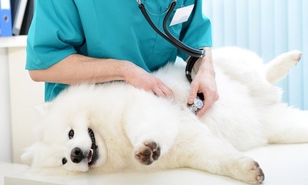 $225 for Dental Cleaning for Dog or Cat with Comprehensive Exam at New Market Animal Hospital ($450 Value)