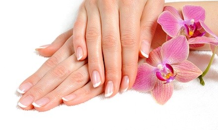 Manicure and Pedicure at Bella's Salon & Day Spa (Up to 54% Off). Four Options Available.