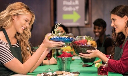 Admission for Two, Four, Six, or Eight to a Social Terrarium-Making Event at The Sipping Plant (Up to 41% Off)
