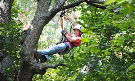 Zipline Tours at Skyward Adventures, Inc. (Up to 51% Off). Two Options Available. 