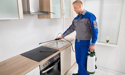 Up to 53% Off on Pest Control Service - General at Conner Pest Management