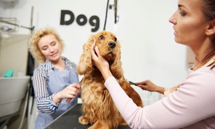 Dog Grooming Services at Utah School of Pet Grooming (Up to 50% Off). Two Options Available.