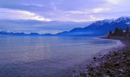 Guided Kayaking Tours at Miller's Landing (Up to 47% Off). Three Options Available.