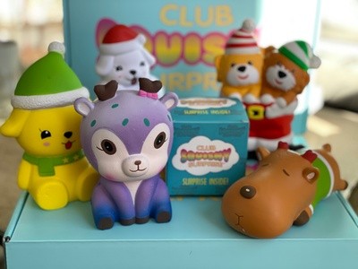 Up to 48% Off on Christmas Market (Retail) at Club Squishy Surprise