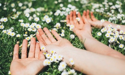 One, Three, or Six Months of the Tulip  Bag Subscription from Turning Tulips (Up to 44% Off)