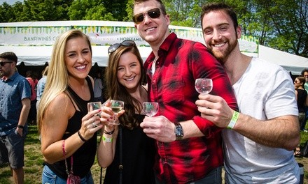 Lincoln Park Wine Fest (June 4-6) 