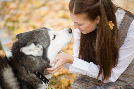 $60 for $120 Worth of Services — The Nanny's-Salon For Dogs, LLC.