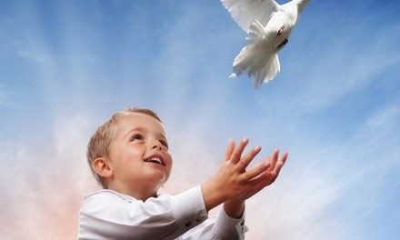 $147 for $267 voucher — Great Lakes Doves