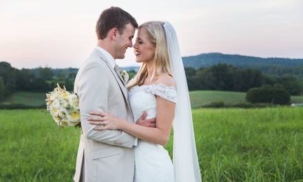 $1 for $2 Worth of Wedding-Planning Services — Planned2Perfection Orlando
