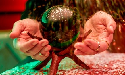 $48 for $89 Worth of Services — DARQ MYSTERIES