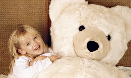 $10 for $20 Worth of Toys and Games at The Wooden Horse