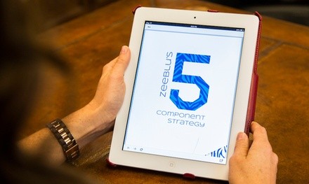 Marketing Services at ZeeBlu (50% Off)