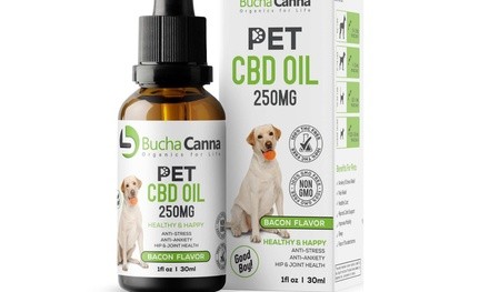 $25 or $50 Towards CBD and Kombucha Products at Bucha Canna (Up to 46% Off)