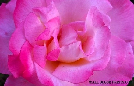 Up to 49% Off on Online Interior Decorator / Designer at Wall Decor Prints