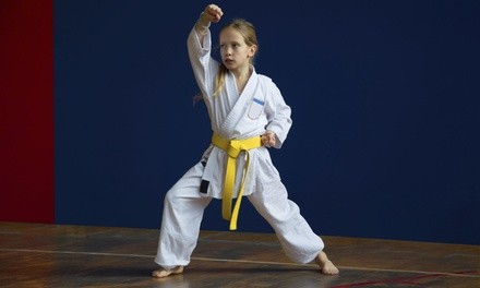 $28 for $80 Worth of Martial-Arts Lessons — Tri-State ATA