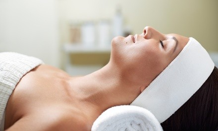 One or Two Microdermabrasions or Pumpkin Enzyme Peel Facials at Vida Emanuel European Day Spa (Up to 67% Off)