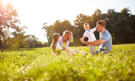 CBD Skin Care or Pain Relief Cream from Rx Canna Care (Up to 42% Off)