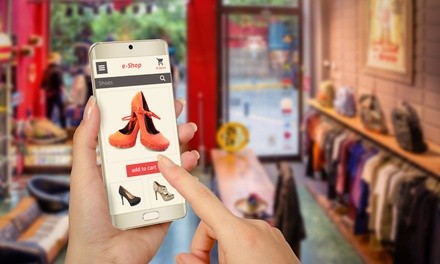 $523 for $950 voucher — nikolic consulting