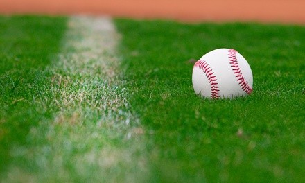 $38.99 for Metrodome Seat-Back Package with Seat Back and Astro Turf from TheMetrodomeRoof.com ($74.97 Value)  