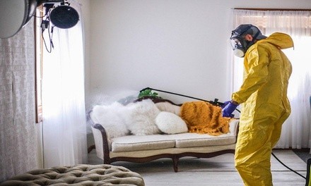 Commercial Cleaning Service from Commercial Power Clean (Up to 58% Off). Four Options Available.