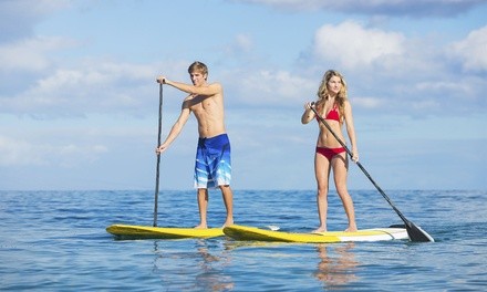 One or Full-Day Two Stand Up Paddleboards Rental at BlueZone Sports (Up to 53% Off)