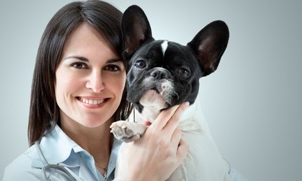 $21.85 for a New-Pet Exam at Seven Oaks Pet Hospital ($52 Value)