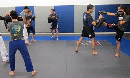 Five  Brazilian Jiu Jitsu or MMA Kickboxing Classes with Gear at Silver Fox Brazilian Jiu-Jitsu (Up to 80% Off)