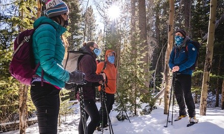 Book Now: Half-Day Snowshoeing Trip for One from ApexEx (Up to 48% Off)