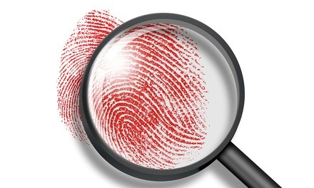 Comprehensive Background Check from Najar Investigations (46% Off)