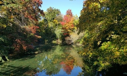 Central Park Walking Tour for Two, Three, or Four from Manhattan Walking Tour (Up to 20% Off)