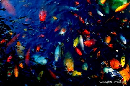 Up to 51% Off on Interior Decorator / Designer at Wall Decor Prints