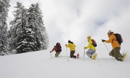 Moonlight Snowshoe Adventure for One, Two, or Four from Rare Earth Adventures (Up to 50% Off)