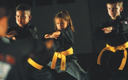 Up to 60% Off on Martial Arts / Karate / MMA - Activities at Bushido Martial Arts and Fitness