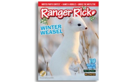 Ranger Rick Subscription (Up to 69% Off). Three Options Available.