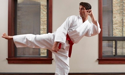 One Month of Karate Classes for Children or Adults at EJ's Warrior Karate Academy (Up to 76% Off)