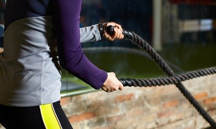 Up to 84% Off at Willpower Fitness Group