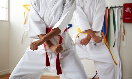 10 or Unlimited for a Month Taekwondo Classes at Everest Taekwondo Martial Arts & Fitness Center (Up to 79% Off)