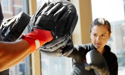 $49 Off $175 Worth of Boxing / Kickboxing - Training