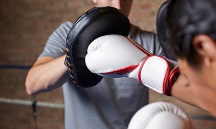 Up to 50% Off on Boxing / Kickboxing - Training at The Institute of Mixed Martial Arts