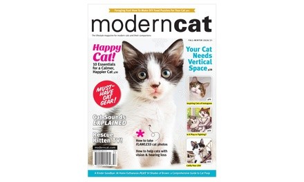 One-Year Subscription to Modern Cat (62% Off)