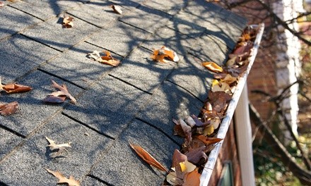 Up to 40% Off on Gutter Cleaning at New Roof