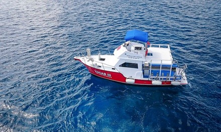 Buy Two Tanks and Get Two Tanks or PADI Open Water Certification at We B Divin’ Cozumel (Up to 50% Off)