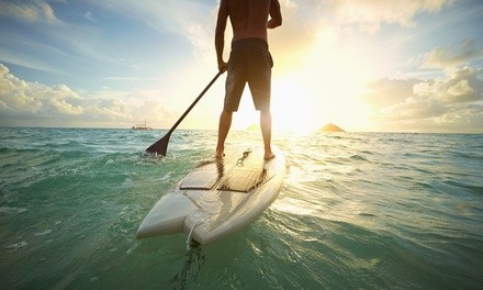 Up to 26% Off on Water Sport Rental - Surfboard / Water Skis / Paddleboard at Fly eFoils