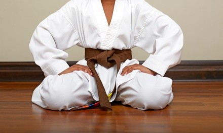 $45 for Eight 45-Minute Beginner Virtual Karate Lessons for 1 from Randall School of Karate ($90 Value)