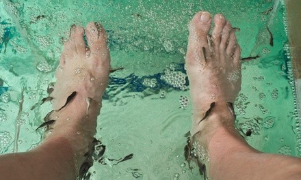 Ionic Foot Bath Treatment at Jazzy Body Treats (Up to 35% Off). Two Options Available.